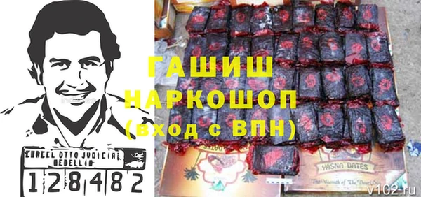 гидра Медвежьегорск