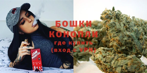 гидра Медвежьегорск