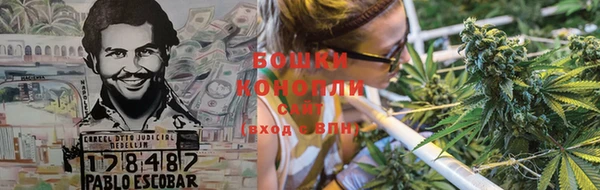 гидра Медвежьегорск