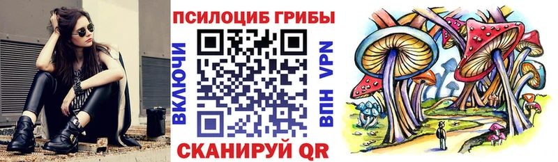 Псилоцибиновые грибы мицелий  Урус-Мартан 