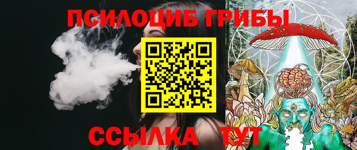 Галлюциногенные грибы Psilocybine cubensis  Урус-Мартан 