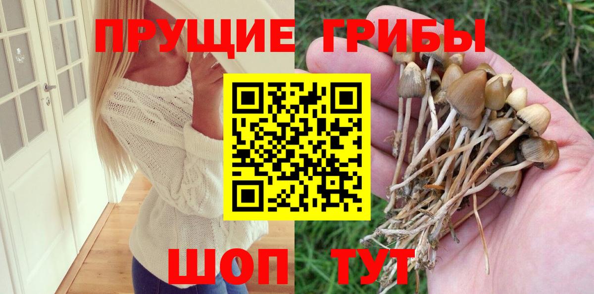 Урус-Мартан  Галлюциногенные грибы Magic Shrooms  Вход с VPN 